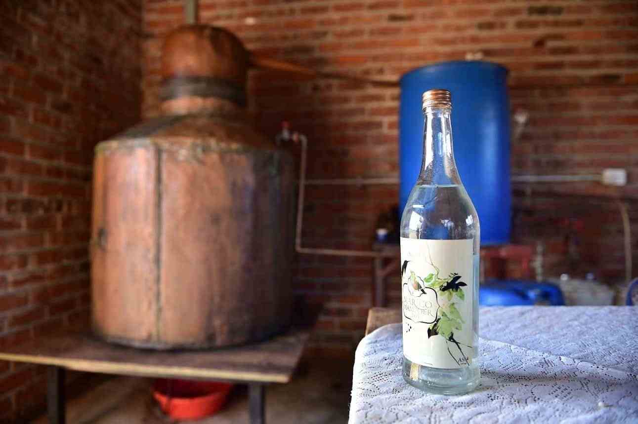 عرق بیدمشک برای صفرا از گل های تازه با عطر ماندگار
